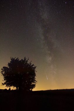 Fotoğraf, her yıl düzenlenen Perseids duşu sırasında Samanyolu 'nun yanında kayan bir yıldız gösteriyor.