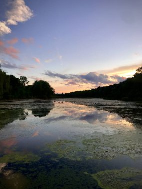 Kunduz Havuzu Yolu (3 km) Yürüyüşü. Ormanın güzel bir bölümünde kolay bir yürüyüş..