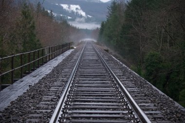 Sisli bir ormanda tren raylarından oluşan ürkütücü bir manzara.