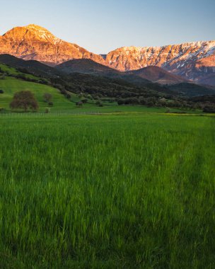 Altın saat boyunca Erymanthos dağlarına yakın çekim.