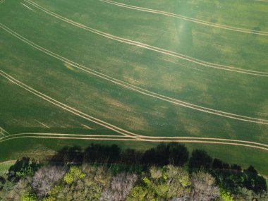 Northamptonshire 'daki yeşil alanda güzel ağaçların hava manzarası.