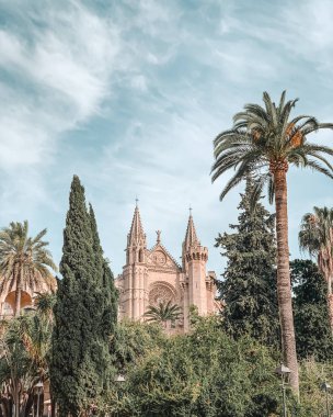 Palmiye ağaçlı Santa Maria de Mallorca Katedral Bazilikası 'nın güzel bir manzarası.