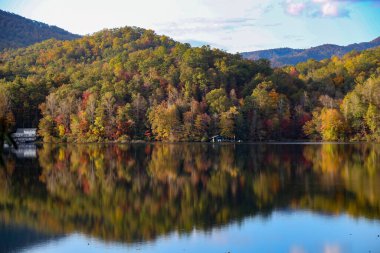 Göl manzarasının güzel görüntüsü. Göl kenarında sonbahar ormanı manzarası ve ağaçların su yansıması.