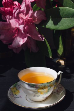 Papatya çayı ve pembe rhododendron çiçeği koyu arkaplanlı klasik çay fincanı.