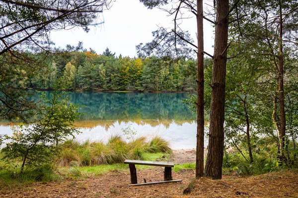 Ein Spiegelnder See Umgeben Von Dichten Bäumen Unter Dem Klaren — Stockfoto