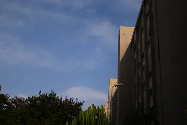 Una Fachada Edificio Cerca Árbol Bajo Cielo Azul —  Fotos de Stock