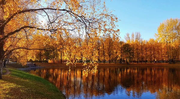Hisnande Utsikt Över Höstpark Sankt Petersburg Ryssland — Stockfoto