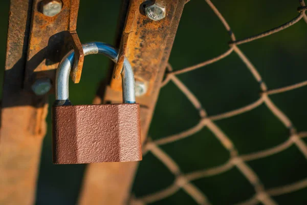 Nahaufnahme Eines Metallschlosses Das Einen Rostigen Metallzaun Mit Sonnigem Netz — Stockfoto