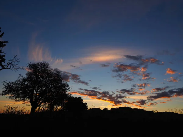 Een Silhouet Van Bomen Vergezeld Van Cirrus Cumulus Wolken Achtergrond — Stockfoto