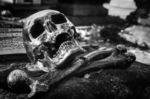 骷髅地上一个人的骷髅和骨头的黑白照片 — 图库照片