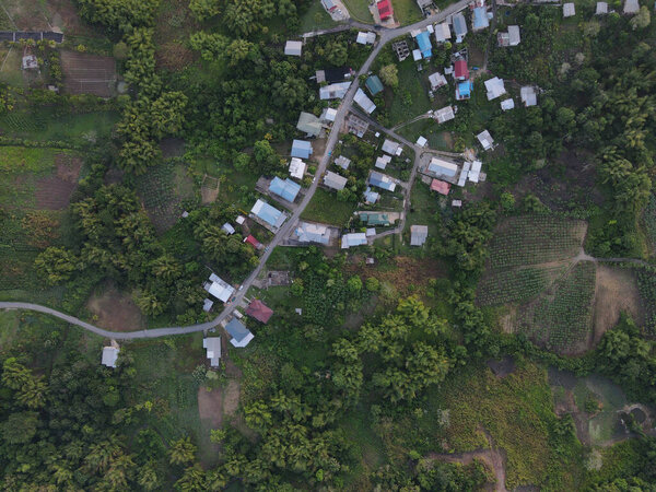 An aerial view of rural houses surrounded by green leaved trees on a sunny day in the country