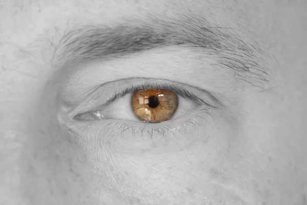男人棕色独特的眼睛选择性地发射出色彩 — 图库照片
