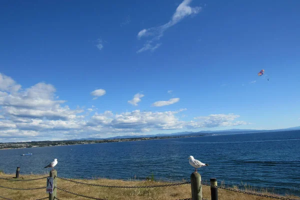 Красивый Вид Озеро Тефо Новая Зеландия — стоковое фото