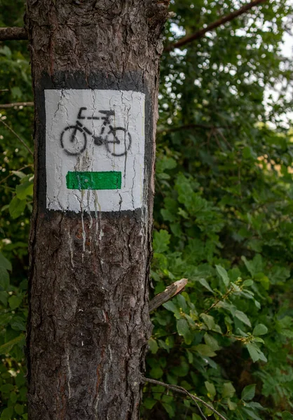 Colpo Verticale Segno Bicicletta Dipingere Tronco Albero Nella Foresta Con — Foto Stock