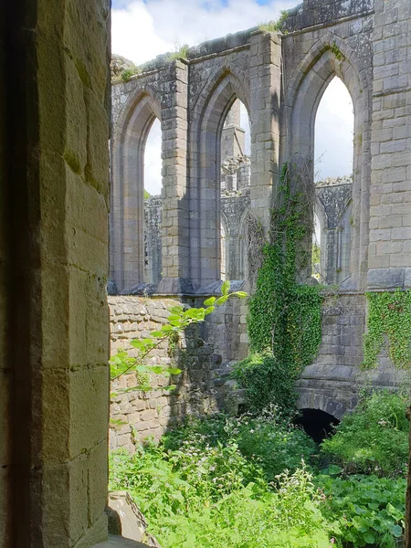 Una Vista Ruinas Antiguas Con Columnas Arco Vegetación — Foto de Stock