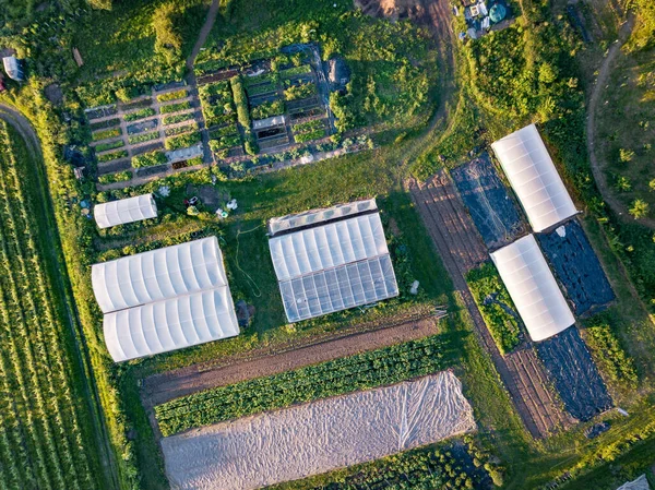 Aerial View Organic Inner City Farm London — Stock Photo, Image