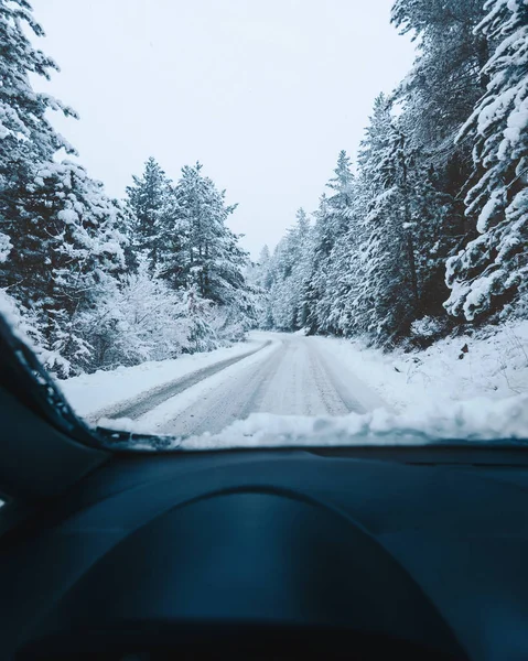Piękny Widok Lasu Iglastego Pokrytego Śniegiem Przedniej Szyby Samochodu — Zdjęcie stockowe