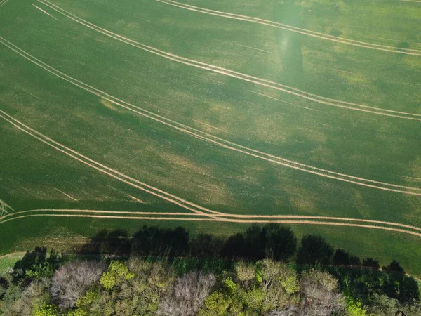 Aerial View Beautiful Trees Green Field Northamptonshire — Stock Photo, Image