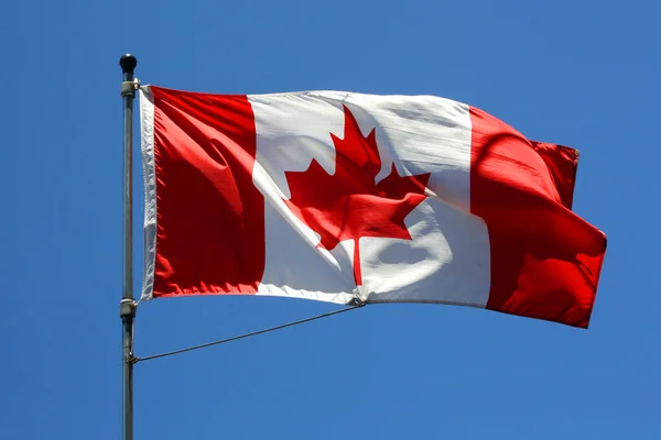 Bandera Canadá Ondeando Contra Cielo Azul — Foto de Stock