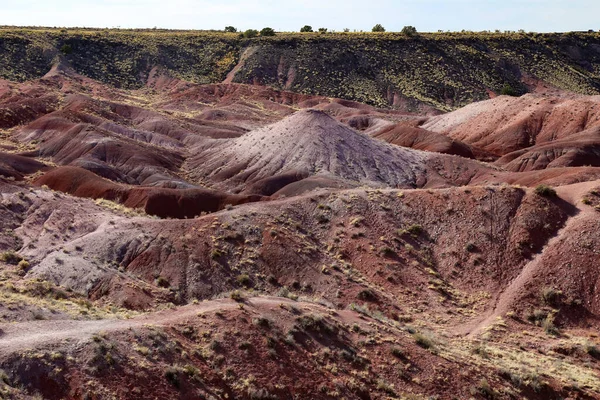 Una Vista Del Paisaje Las Tierras Baldías Secas Rojas Desierto — Foto de Stock