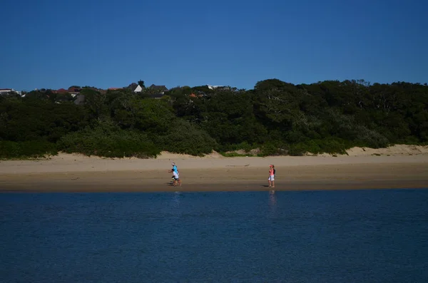 Panoramabild Ett Hav Eller Sjö Strand Med Träd Och Buskar — Stockfoto