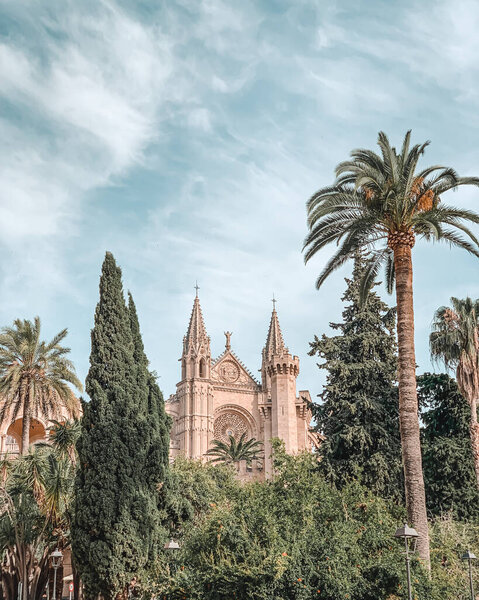A beautiful view of the Catedral-Basilica de Santa Maria de Mallorca with palm trees