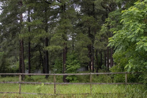 ジョージア州の田舎の国と木の茶色の木製の柵 — ストック写真