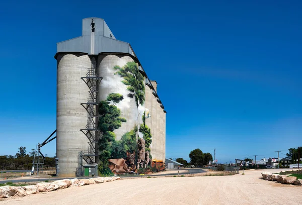 Kolorowe Graffiti Ścianach Silosów Zbożowych Słoneczny Dzień Waikerie Australia Południowa — Zdjęcie stockowe