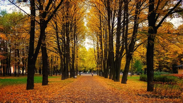 Ein Atemberaubender Blick Auf Einen Herbstlichen Park Sankt Petersburg Russland — Stockfoto