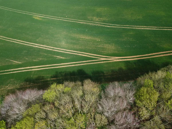 Aerial View Beautiful Trees Green Field Northamptonshire — Stock Photo, Image