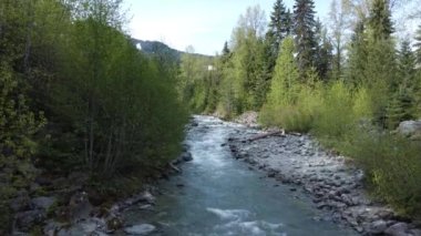 Yeşil ormandan akan güzel bir nehir manzarası.