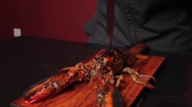 Profesyonel bir şefin çiğ ıstakozu keserken çekilmiş yavaş çekim videosu.