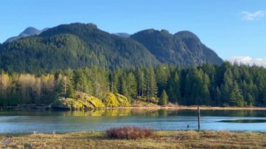 Pitt Meadows, Kanada 'da, parlak güneş ışığı altında bir göl kenarındaki güzel ormanlık ed dağları