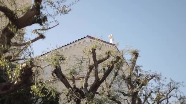 Wilmington North Carolina Daki Bir Katolik Kilisesinin Güzel Dış Görünüşü — Stok video