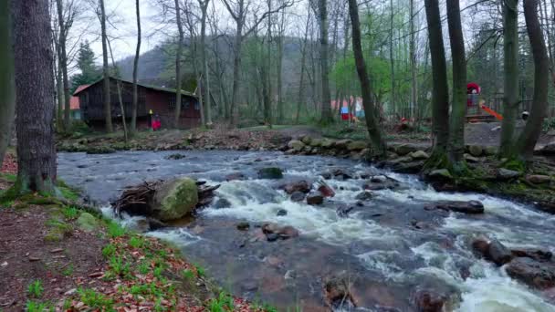 Les Images Rivière Contre Aire Jeux Dans Les Bois Ilsenburg — Video