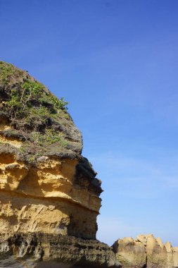 Güneşli bir günde suyun yakınındaki güzel bir kayanın dikey görüntüsü.