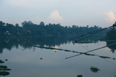 Kerala, Hindistan 'da güzel bir gölün hava görüntüsü.