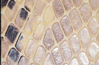 Yapay Reptil Yılan Derisi Kusursuz Desen Deseni