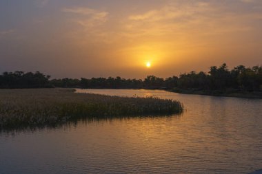 Bir nehrin akşam manzarası ve güneşli bir sulak arazi renkli gökyüzünde parlıyor.