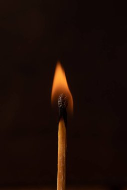 Siyah bir arka planda izole edilmiş yanan bir kibrit çöpünün dikey görüntüsü.