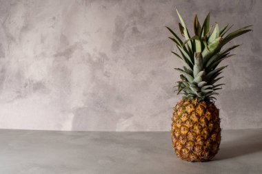 Gri bir arka planda izole edilmiş olgun bir ananasın yakın çekimi