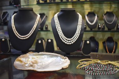 İncilerin şekillendiği istiridye kabuklu bir alışveriş kompleksinde sergilenmek üzere inciler zinciri.