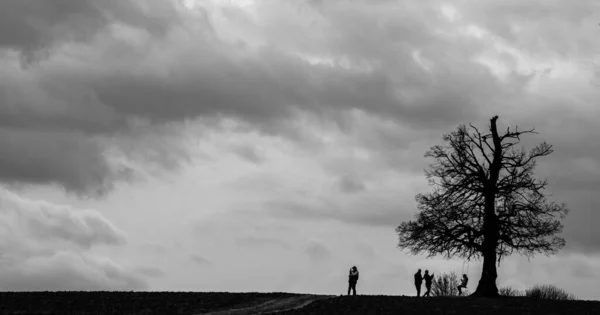 A greyscale silhouette photo of a couple hugging and other people having fun by a tree, life concept