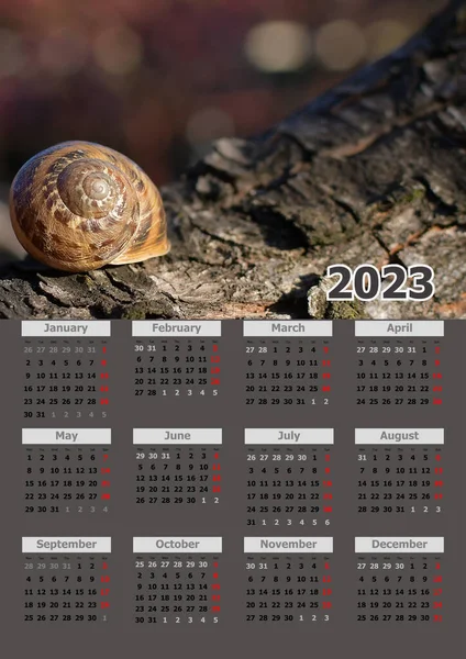 Vertikal Illustration 2023 Års Kalender Med Snigel — Stockfoto