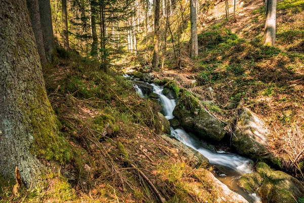 Vue Cascade Nagelstein Dans Forêt Bavaroise Entre Obermuhlbach Sankt Englmar — Photo