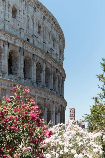 Colpo Verticale Del Colosseo Sullo Sfondo Blu Del Cielo Roma — Foto Stock