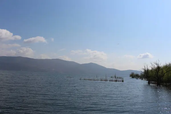 Lago Calmo Con Montagne Sullo Sfondo — Foto Stock