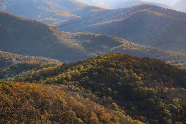 Sonbaharın Güzel Görüntüsü Ormanla Kaplı Doğal Tepe Manzarası — Stok fotoğraf