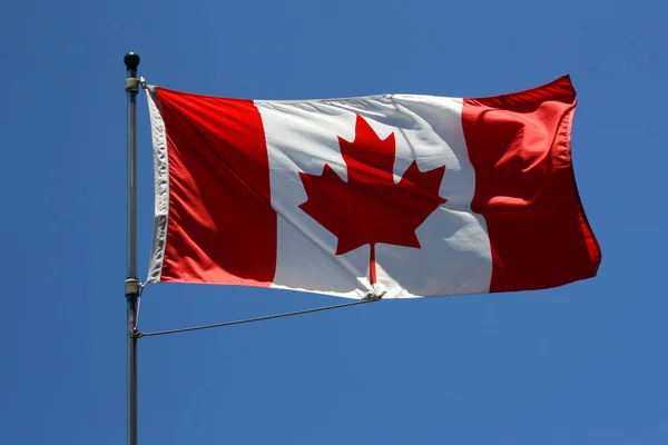 캐나다의 국기가 하늘에 흔들며 — 스톡 사진