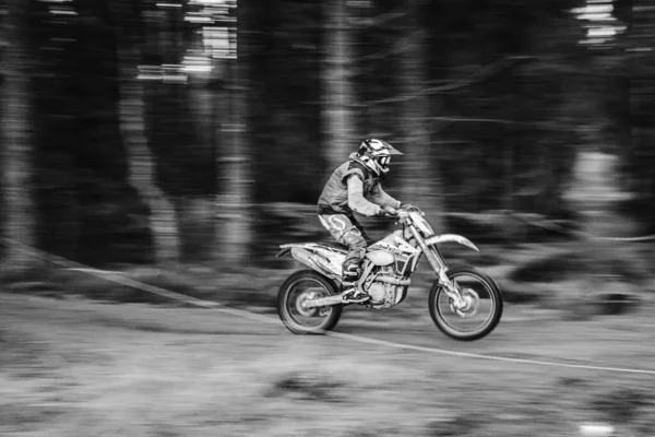 Grayscale Záběr Motocyklisty Koni Lese Během Motokrosu — Stock fotografie